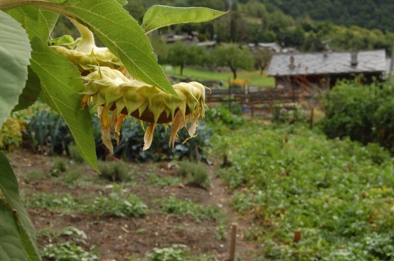 Avise - piccolo gioiello della Valle d''Aosta